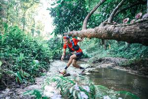 BIB: 
                            <button type="button" onclick="openModal(25430585)" class="btn btn-primary btn-sm float-right btn-popup" data-toggle="modal" data-target=".modal-high-quality">
                        <i class="fas fa-shopping-cart"></i> Add to Cart
                    </button>
                                            <button type="button" onclick="isThisMe(25430585, true)" class="btn btn-success btn-sm float-right btn-popup btn-isme hidden" data-toggle="tooltip" data-placement="bottom" title="นี่คือรูปของคุณใช่ไหม คลิกที่นี่เพื่อเอาเข้าอัลบั้ม">
                        <i class="fas fa-plus"></i> Add to album
                    </button>
                    <button type="button" onclick="isThisMe(25430585, false)" class="btn btn-warning btn-sm float-right btn-popup btn-isnotme hidden">
                        <i class="fas fa-ban"></i> Remove from album
                    </button>